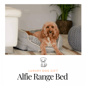 Alfie Range Bed Review