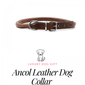 Ancol Leather Dog Collar
