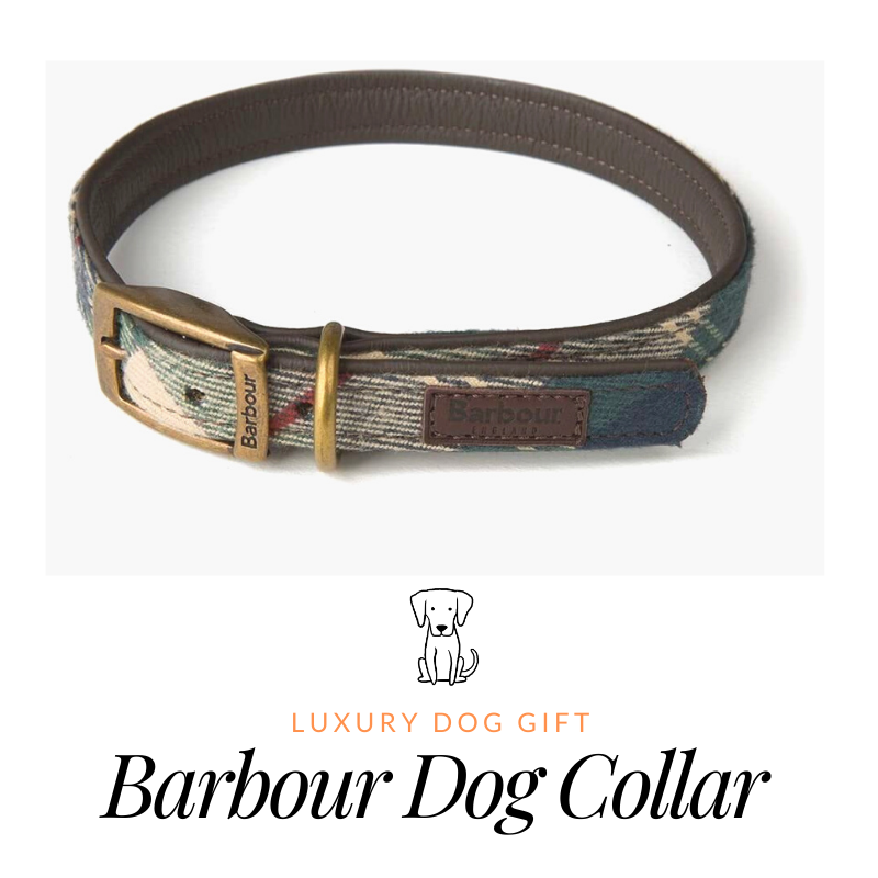 Barbour Tartan Dog Collar Review