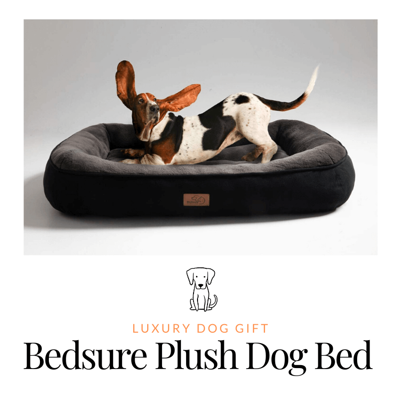Bedsure Plush Dog Bed review