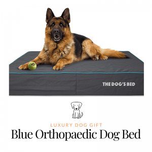 Blue Orthopaedic Dog Bed Review
