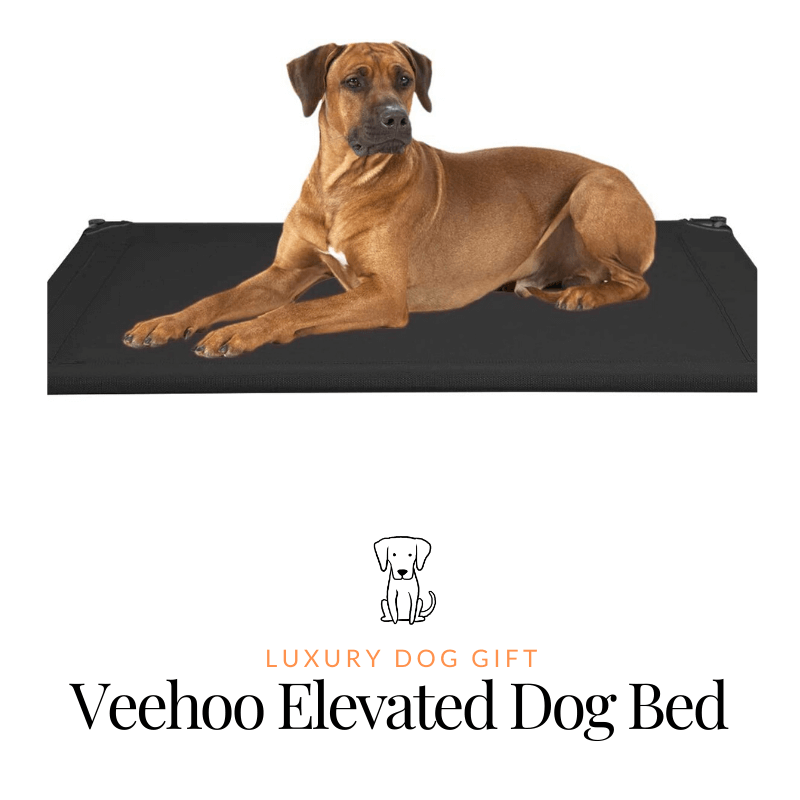 Veehoo Elevated Dog Bed Review