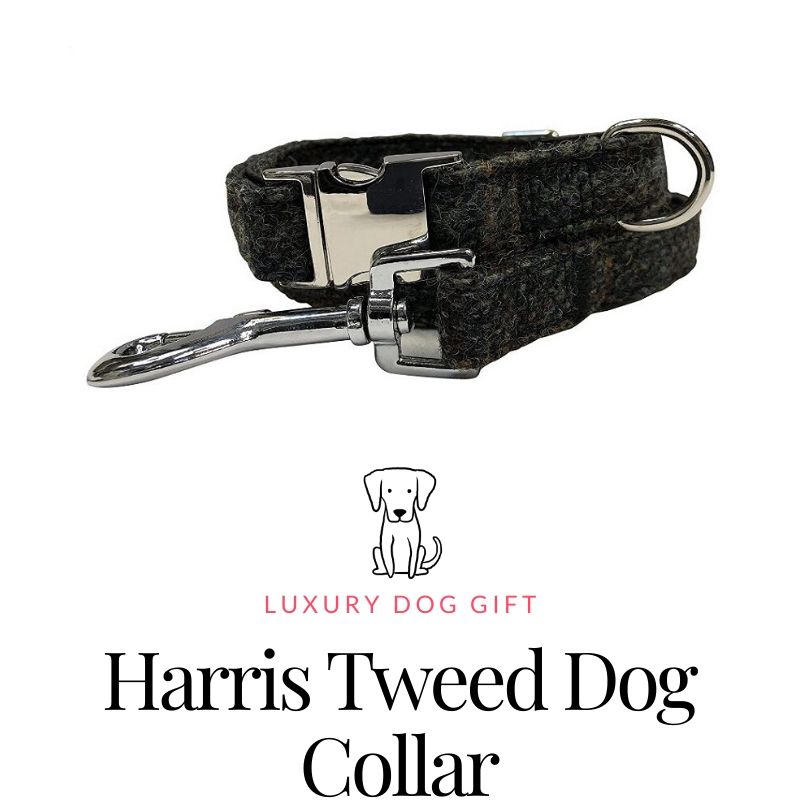Harris Tweed Dog Collar