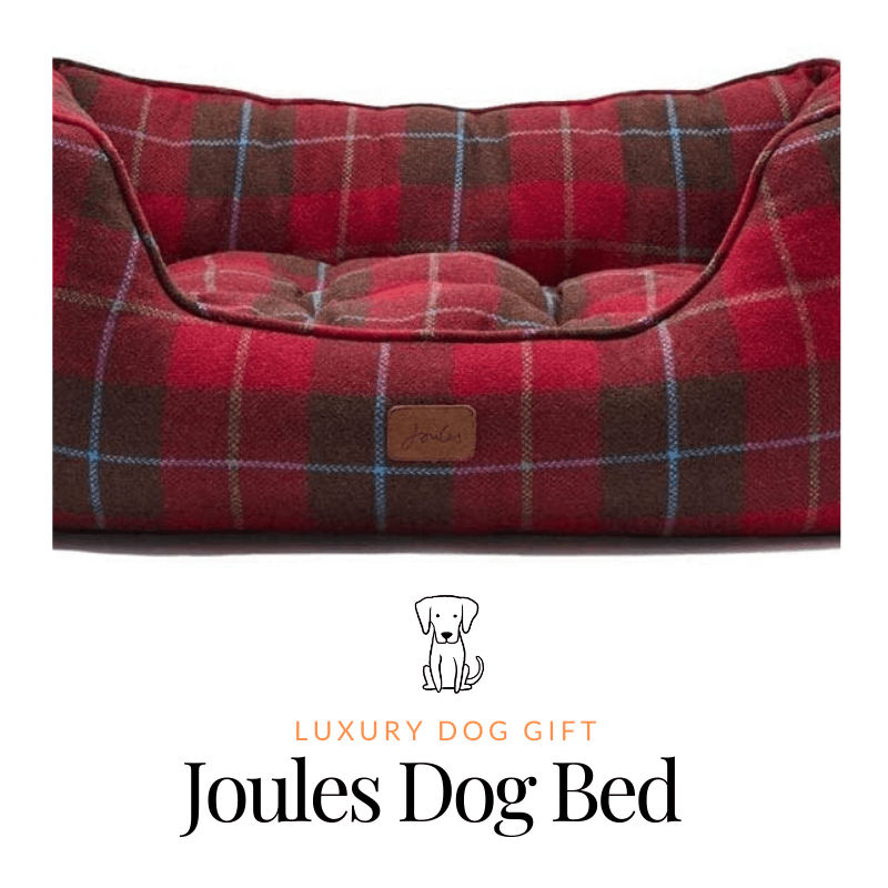Joules Dog Bed Review