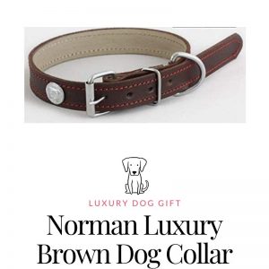 Luxury Brown Dog Collar Review
