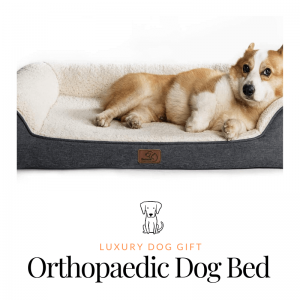 best Orthopaedic Dog Bed