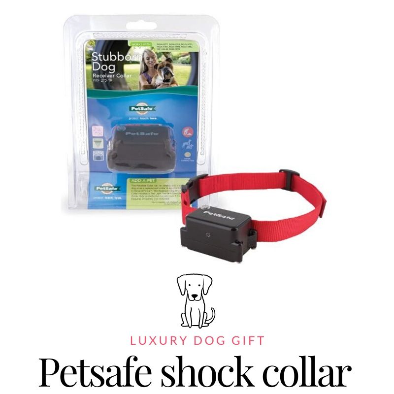 Petsafe shock collar Review