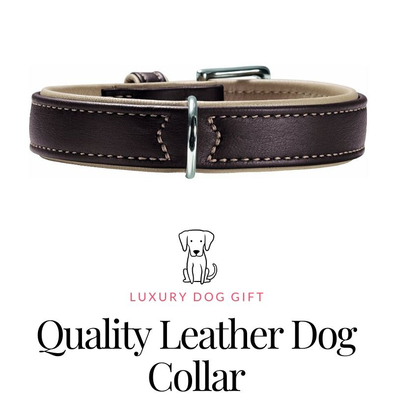 Quality Leather Dog Collar Review
