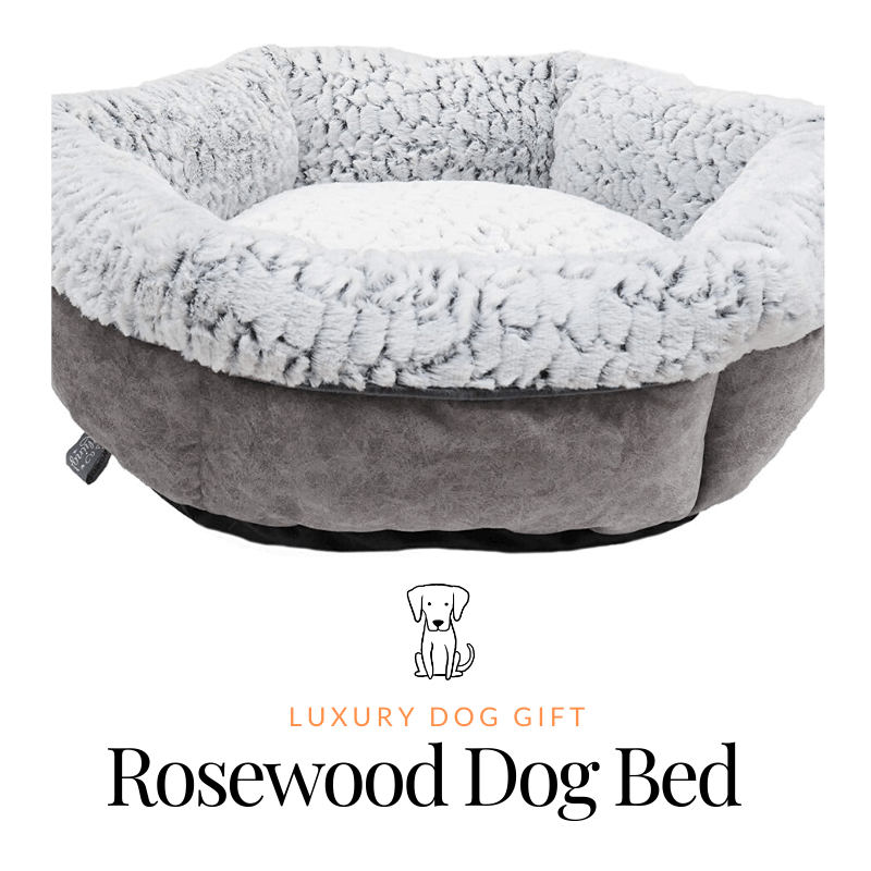 Rosewood Dog Bed Review