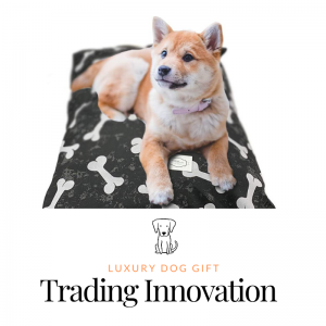 Trading Innovation Dog Bed Review