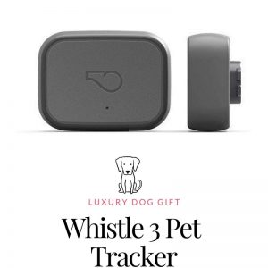 Whistle 3 Review
