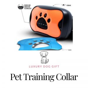 pet training collar
