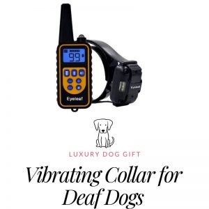 vibrating collar for deaf dogs