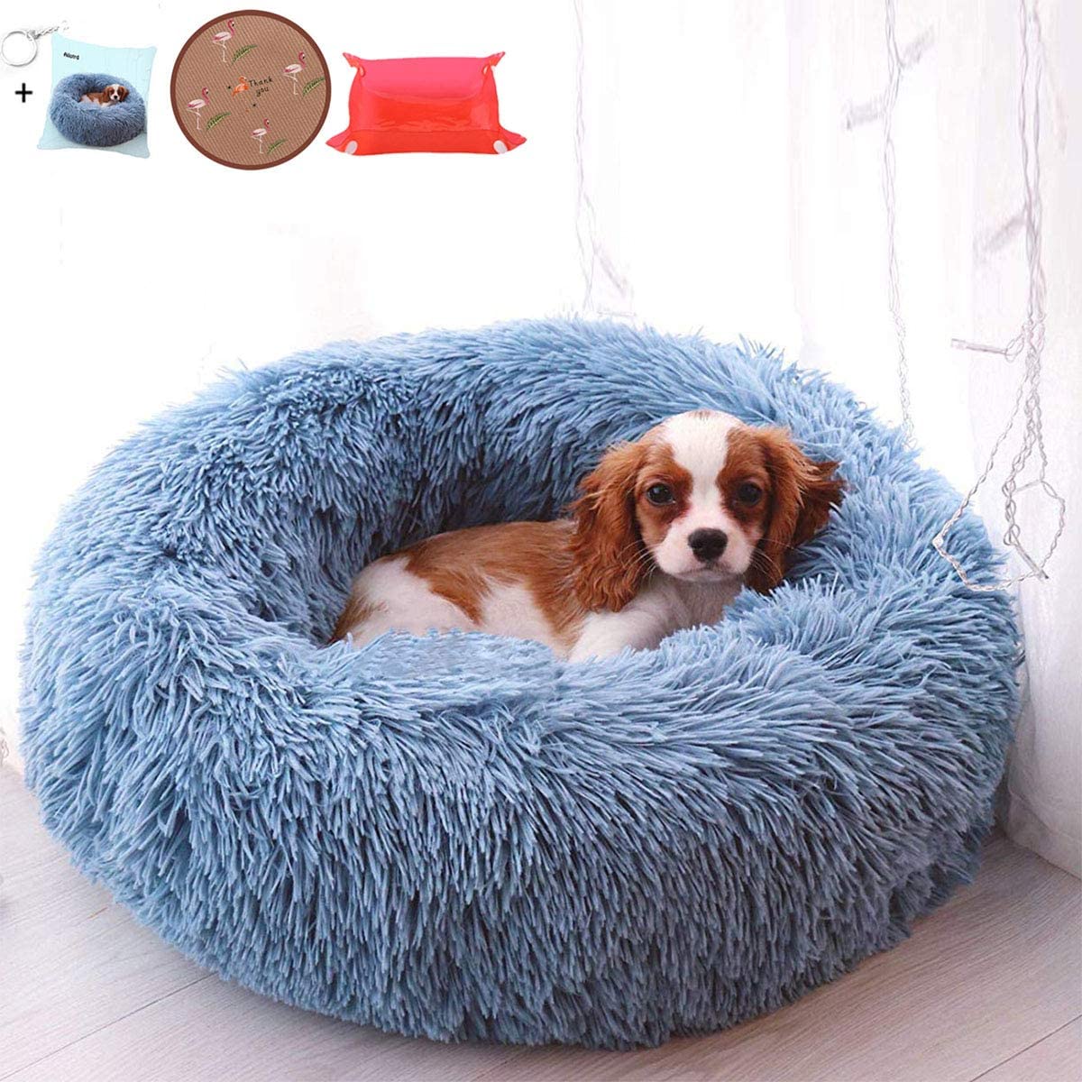 outdoor dog bed with canopy
