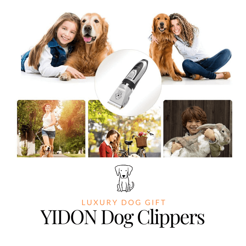 YIDON Dog Clippers review