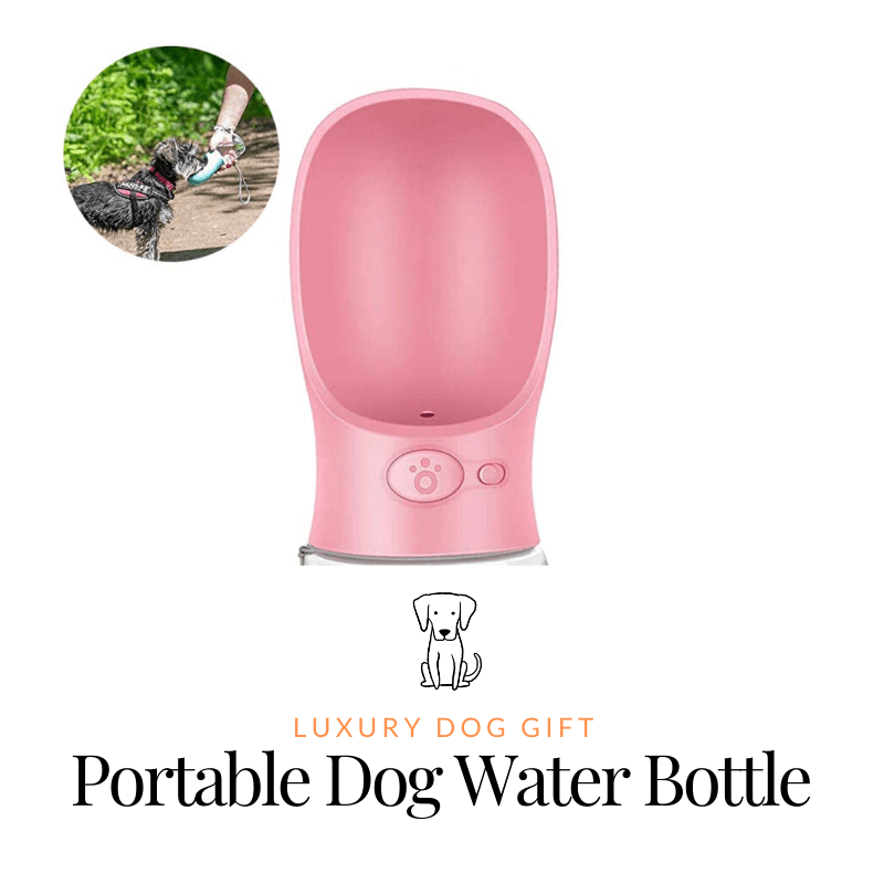 Portable Dog Water Bottle review