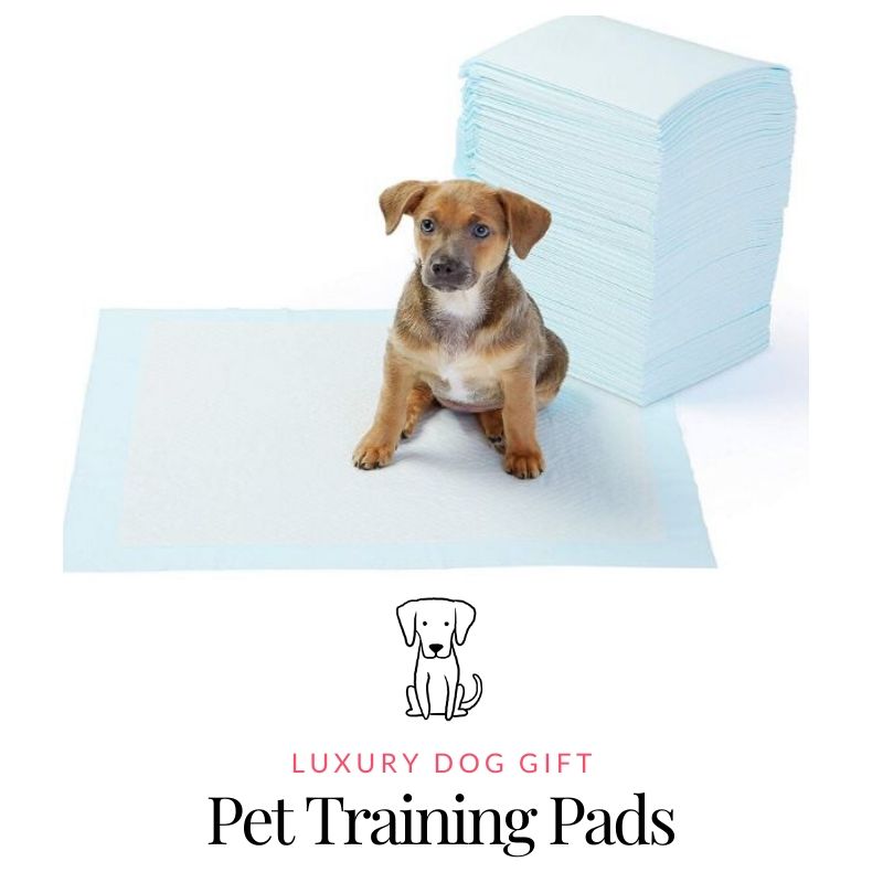 Picture of Pet Training Pads
