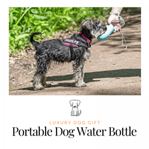 Portable Dog Water Bottle Review