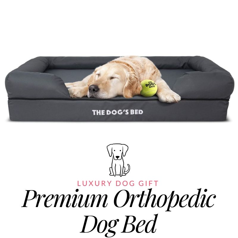 orthopedic dog bed
